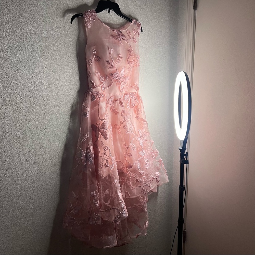 Hand crafted custom made pink fluffy dress